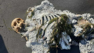 Samsun'da sahile vuran iskelet incelemeye alındı