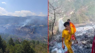 Suriye'de çıkan orman yangını Türkiye'ye sıçradı