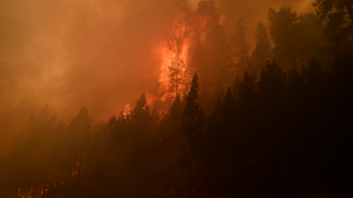 ABD'nin Kaliforniya eyaletinde orman yangınları hala devam ediyor!