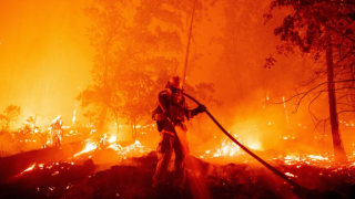 Aydın, Isparta, Denizli, Antalya ve Muğla'da orman yangınları sürüyor