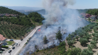 Bursa'da Kent Ormanı’nın 6 farklı noktasında eş zamanlı yangın!