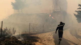Cezayir'de orman yangınlarında 65 kişi hayatını kaybetti!