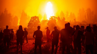 Cezayir'deki yangınlarda 42 kişi hayatını kaybetti