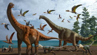 Çin'de 2 yeni dinozor fosili keşfedildi: Hamititan ve Silutitan