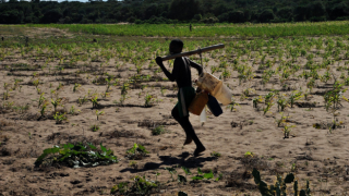 İklim krizinin kıtlığa yol açtığı ilk ülke "Madagaskar"