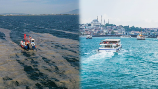 Marmara Denizi'nde yeni tehlike!