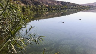 ODTÜ, Eymir Gölü'ndeki aşırı siyanobakteri artışını anbean takip ediyor
