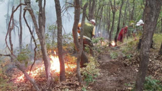 Orman Genel Müdürlüğü: Tunceli'nin Hozat ilçesindeki orman yangını kontrol altına alındı