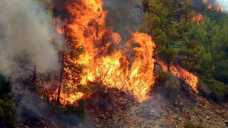 Türkiye'de devam eden orman yangınları