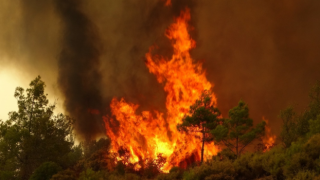 Türkiye'deki orman yangınları sonrası korkutan açıklama!