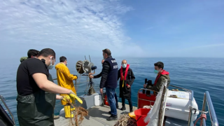 Uzmanlar ve balıkçılar arasında "Marmara Denizi'nde av sezonu ertelenmeli mi?" tartışması