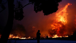 Yunanistan'da orman yangınları yeniden başladı!
