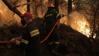 Yunanistan'daki orman yangınları kontrol altına alındı