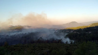 Antalya Manavgat'ta orman yangını!