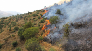 Bitlis'te çıkan yangın tamamen kontrol altına alındı