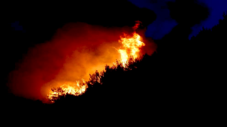 Bodrum'daki yangın kontrol altına alındı