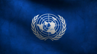 Gine'deki darbeye ilişkin BM'den açıklama