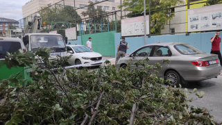 İstanbul Bakırköy'de şiddetli rüzgarın etkisiyle ağaç devrildi! 1 kişi yaralandı