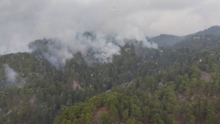 Antalya'nın Manavgat ilçesinde çıkan orman yangını kontrol altına alındı