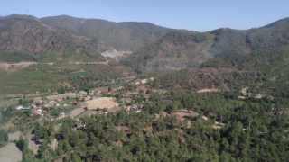 Muğla'da çıkan orman yangınından sonra bir hektarlık alan zarar gördü!