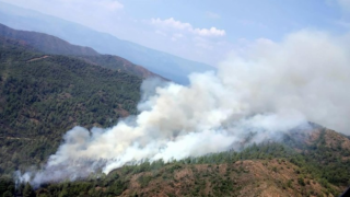 Muğla'daki orman yangını kontrol altına alındı!