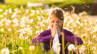 Polen alerjisine ''Erken uyarı sistemi'' geliyor! Meteoroloji ve Bakanlık anlaştı