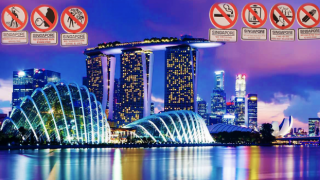 Yasaklar ülkesi Singapur'dan koronavirüs başarısı! 18 ayda sadece 58 vefat