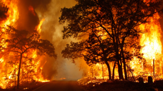 Antalya'da orman yangınına neden oldukları iddiasıyla 7 turist tutuklandı