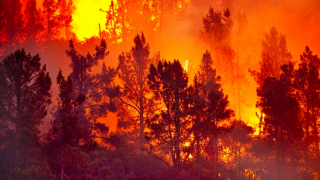 Kemer'de çıkan orman yangınına müdahale ediliyor