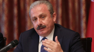 Mustafa Şentop'dan "siyasi cinayetler" ve erken seçim açıklaması