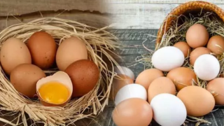 Yumurta üreticileri isyanda: Maliyetine satıyoruz!