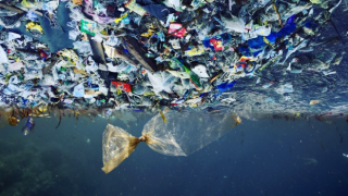 Denizlerde tehlike! 25 bin tondan fazla plastik atıldı