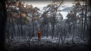 Heybeliada'da orman yangını çıkaran sanık için karar verildi