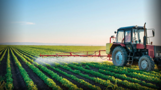 Tarım ÜFE ekimde yüzde 23,1 artış gösterdi