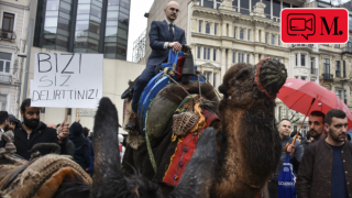Aşı karşıtlarından İstanbul'da develi, eşekli eylem