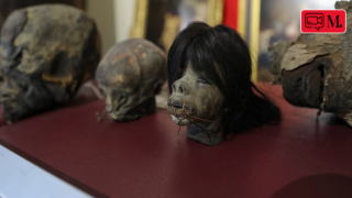 İzmir'de Jivaro kabilesine ait 4 kafatası ele geçirildi
