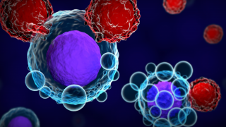T hücreleri, Omicron varyantına karşı direniyor
