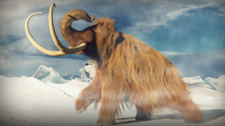 Taş ocağında mamut fosilleri keşfedildi