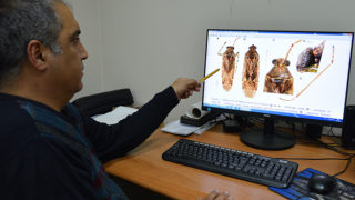 Türkiye'de keşfedilen böcek türüne eski bakanın ismi verildi