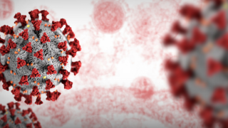 Bilim insanlarından 'NeoCoV' koronavirüsü hakkında uyarı!