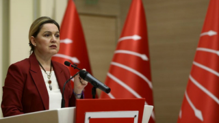 CHP'li Selin Sayek Böke, AKPM Komite Başkanlığı’na seçildi