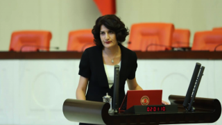 HDP'li Semra Güzel'in savunma yapması için 2 günü var