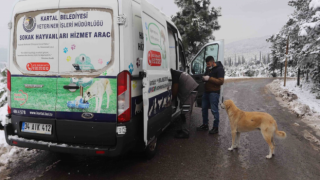 Kartal Belediyesi, kar yağışında sokak hayvanlarını unutmadı
