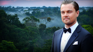 Leonardo DiCaprio'nun ismi ağaca verildi
