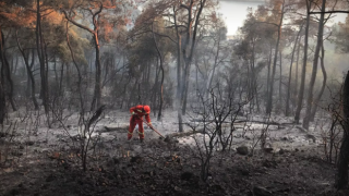 Orman yangınlarına müdahale için ihale süreci başlatıldı