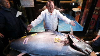 Tokyo’da orkinos balığı 145 bin dolara satıldı