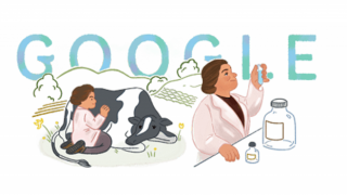 Google'den Sabire Aydemir doodle'ı