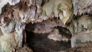 Hayvanlarını otlatırken binlerce yıllık mağara buldular
