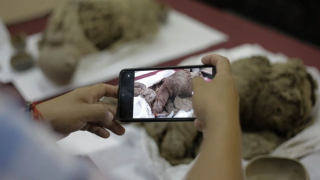 Peru'da bulunan çocuk ve yetişkin mumyaları sergilendi