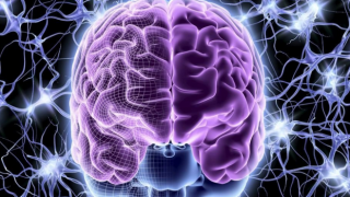 Araştırma: Covid geçirenlerin beyninde küçülme görülebiliyor